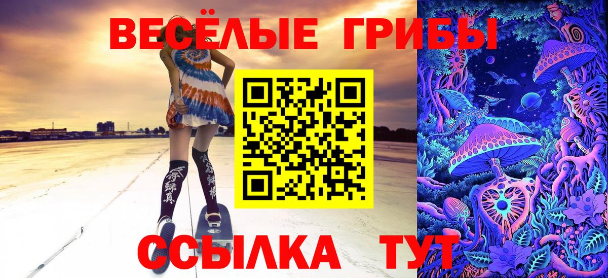 Псилоцибиновые грибы Psilocybine cubensis  Вход с VPN  Дмитров 